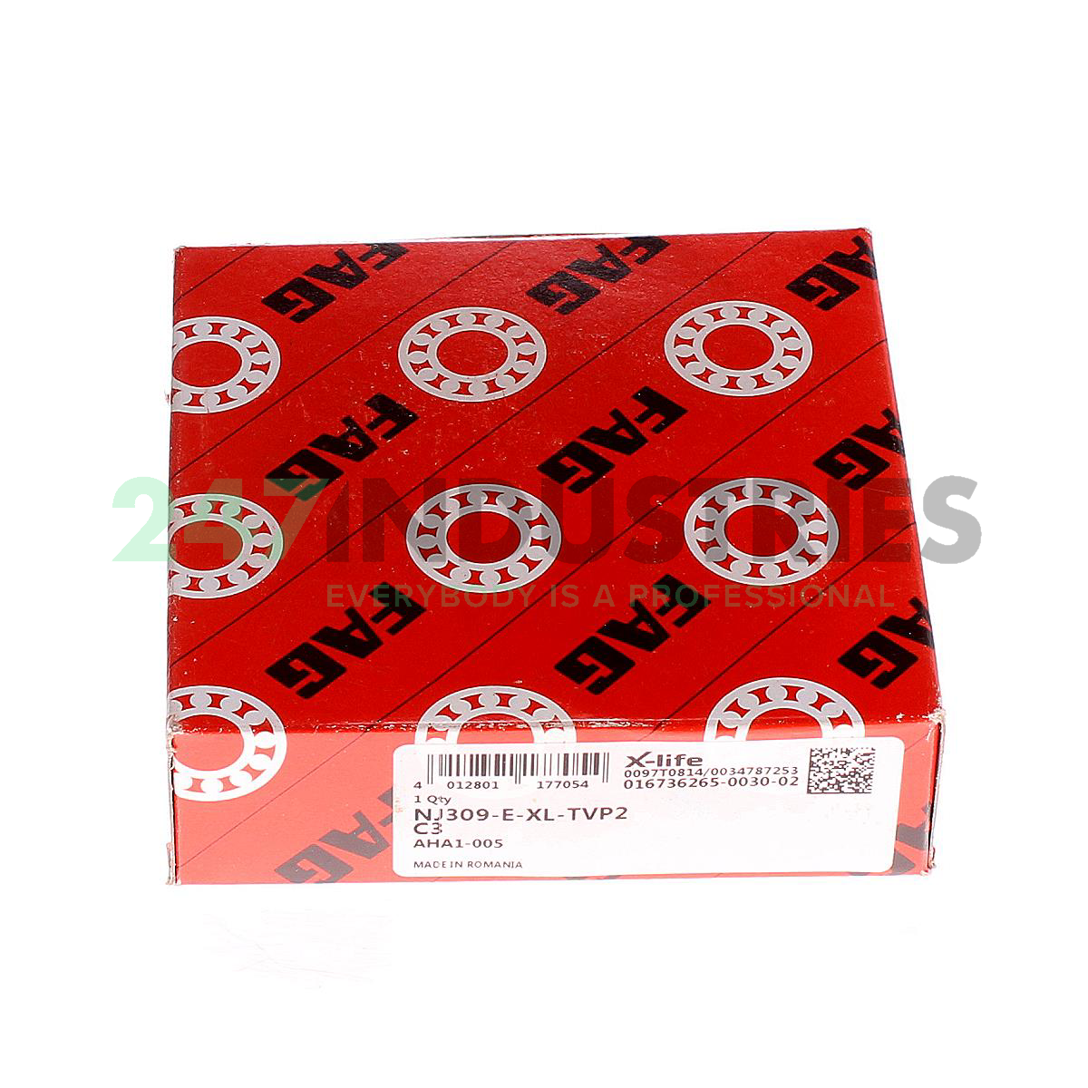 NJ309-E-XL-TVP2-C3 FAG Image 4