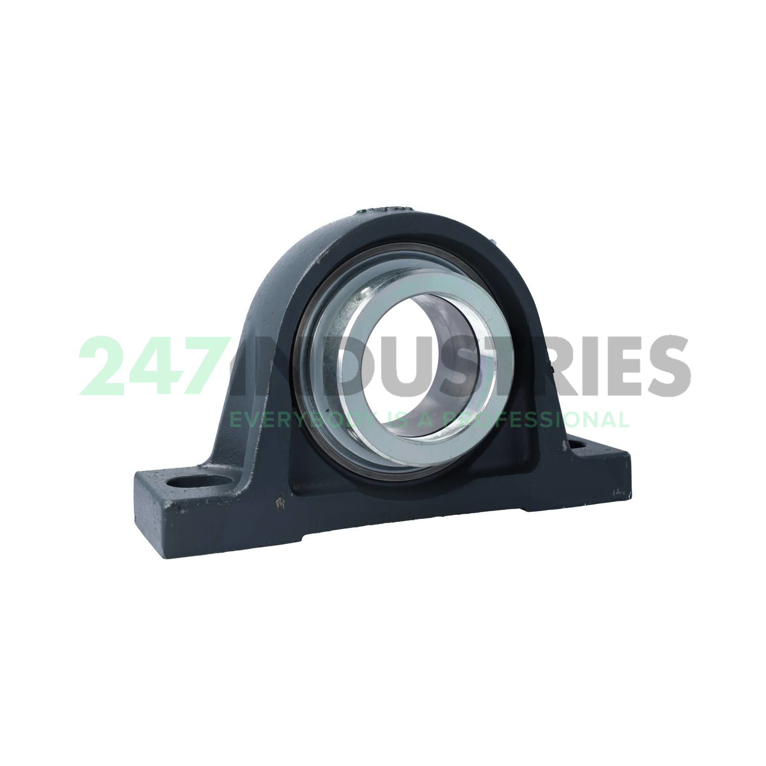 RASE80-FA164-AH01 INA