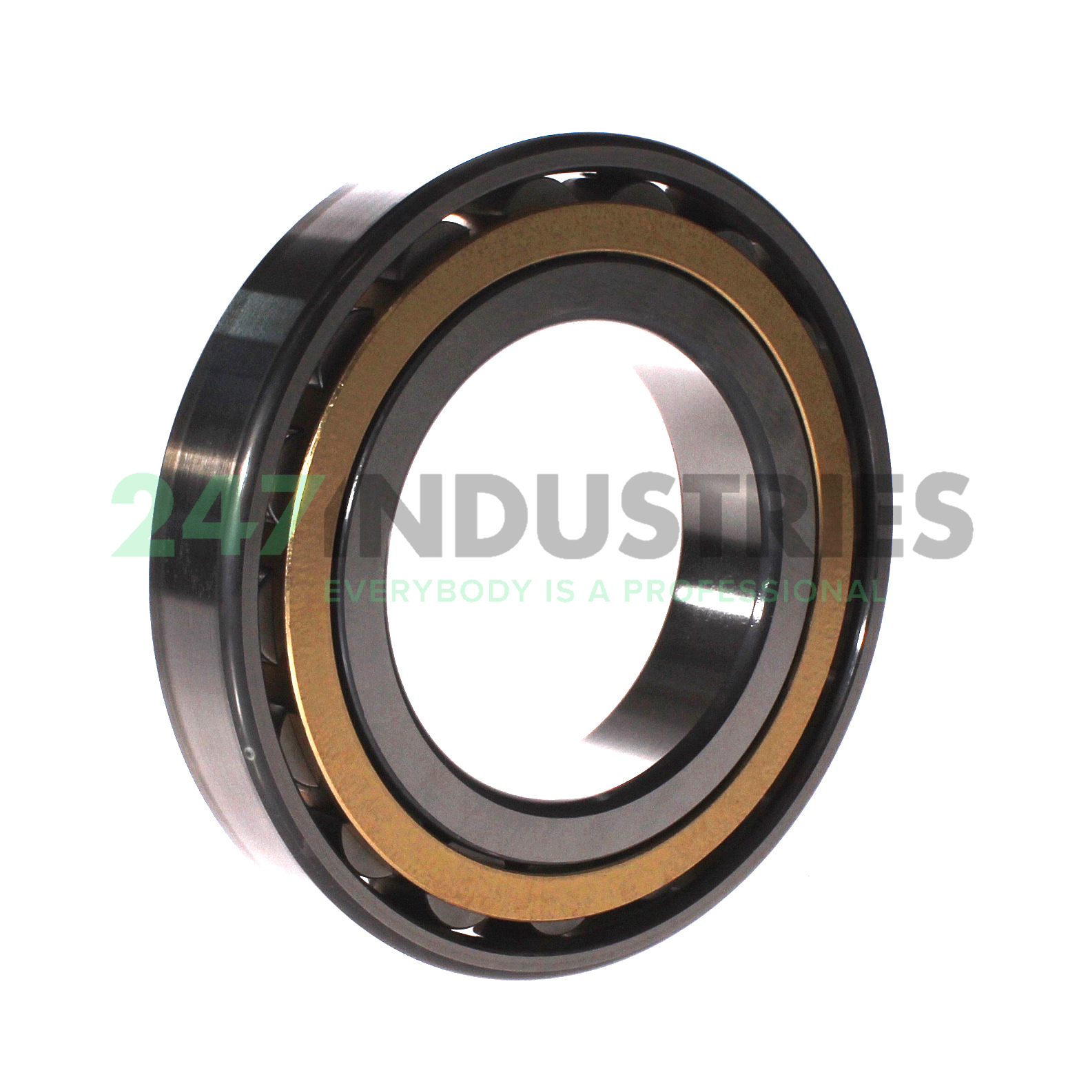 N218-E-XL-M1 FAG Image 2