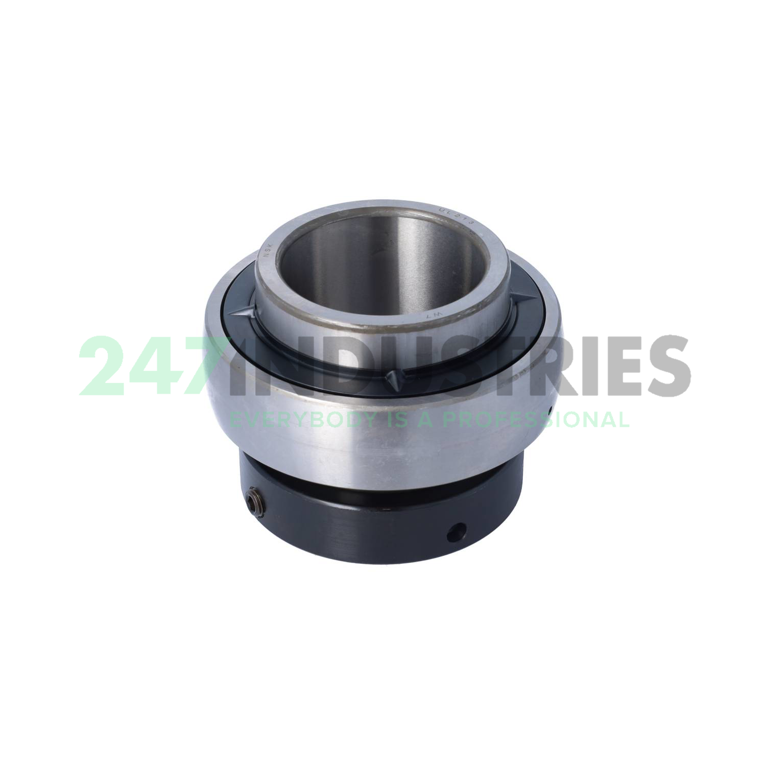 UEL213D1W3 NSK Image 1
