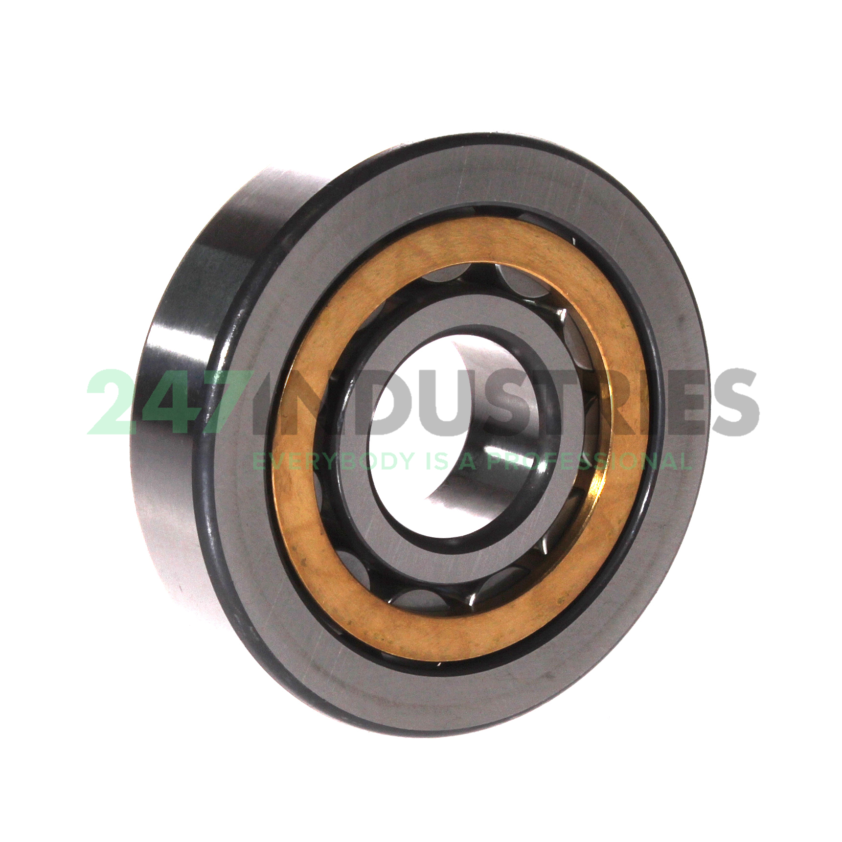 NU406-XL-M1-C3 FAG Image 2