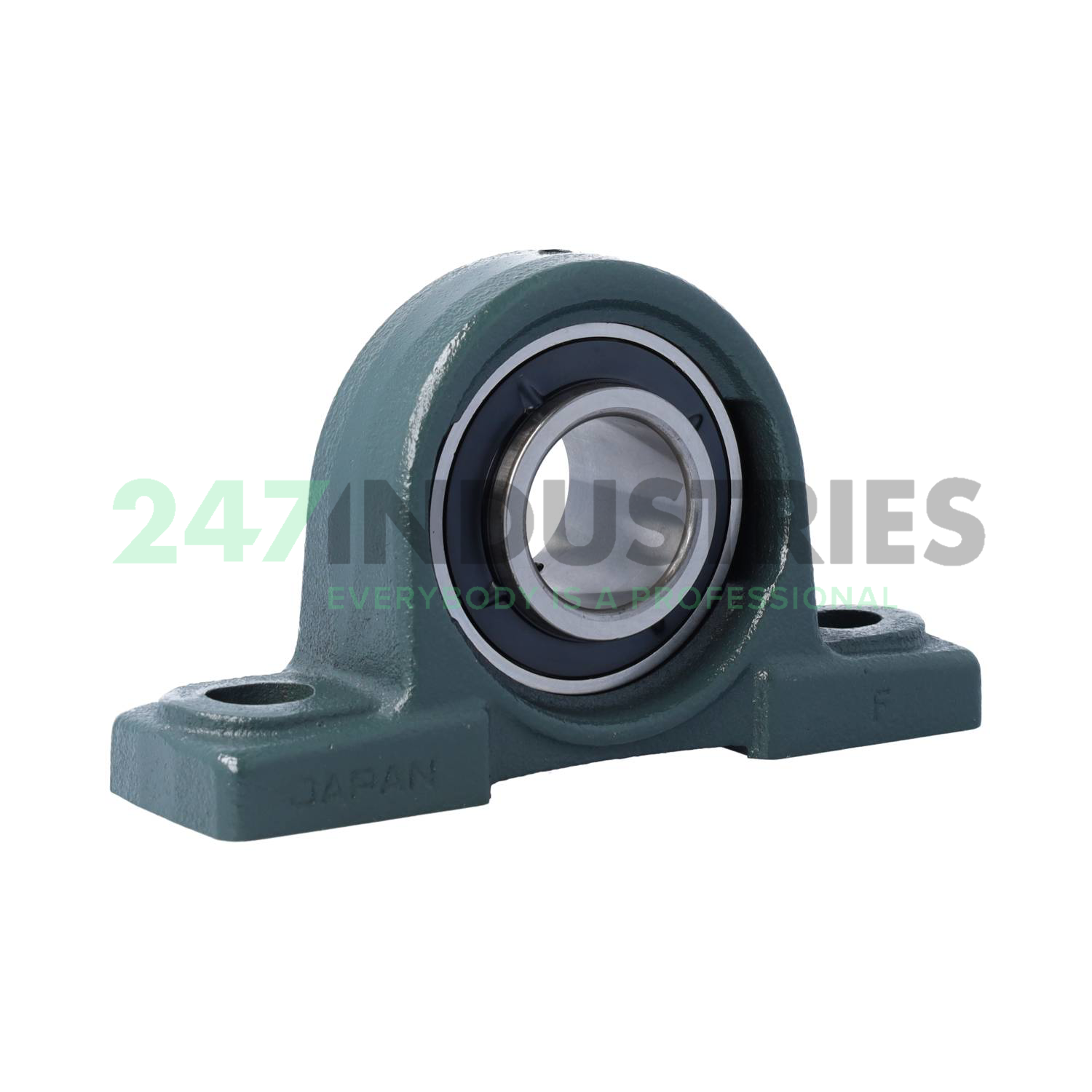 UCP207D1 NSK Image 2