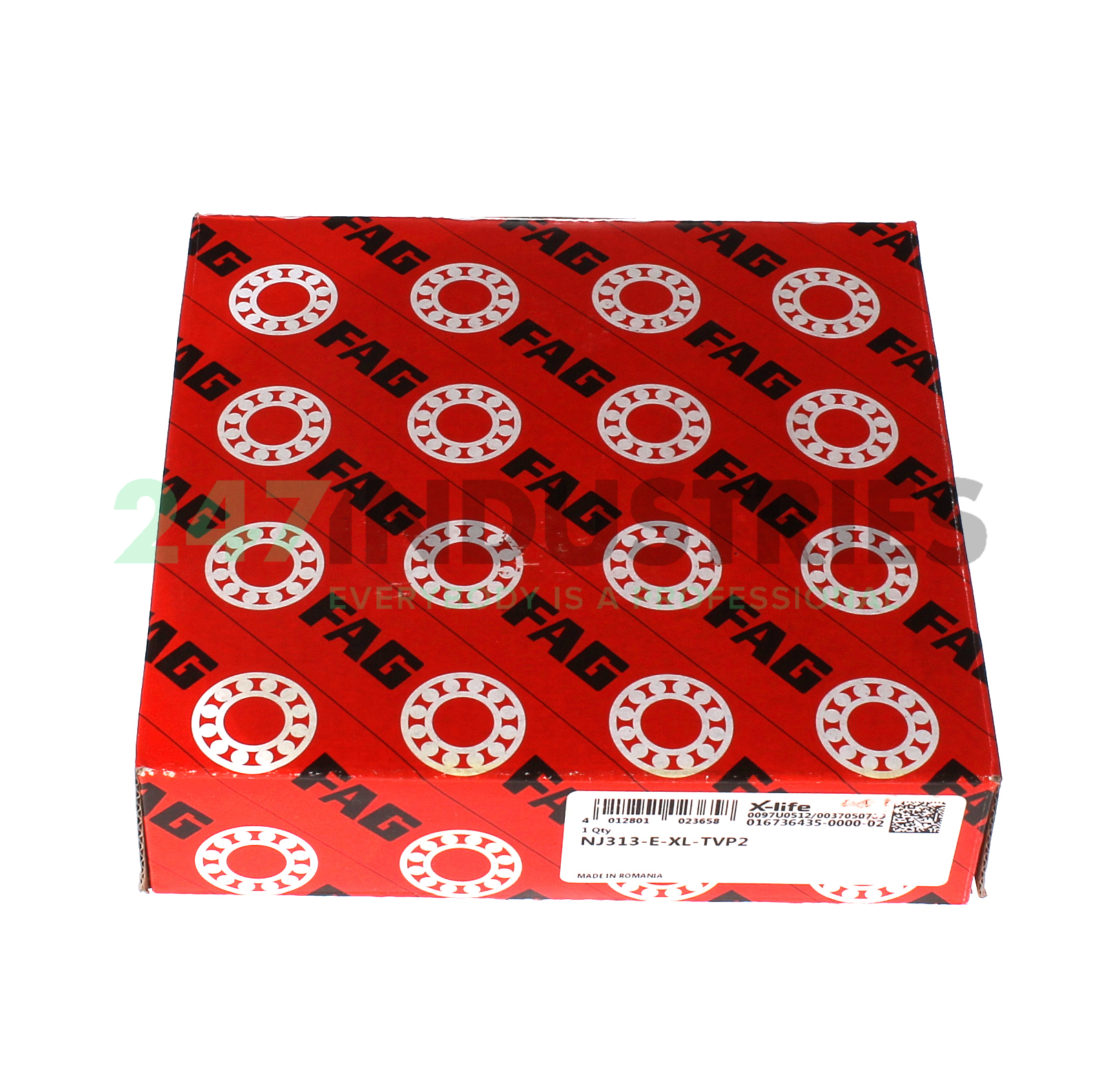 NJ313-E-XL-TVP2 FAG Image 4