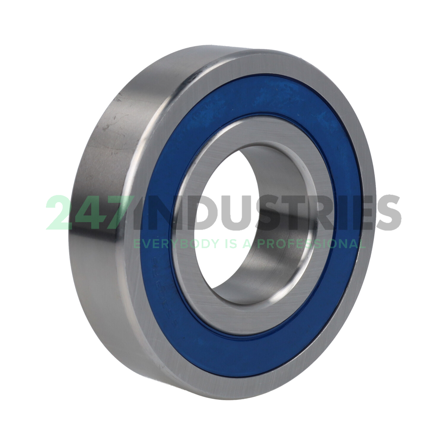 S6309 2RS Rollway Image 2