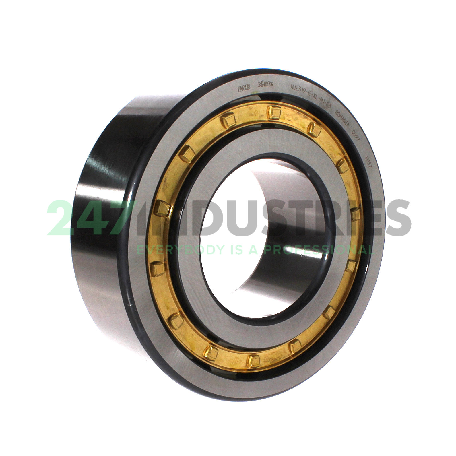 NJ2319-E-XL-M1-C3 FAG