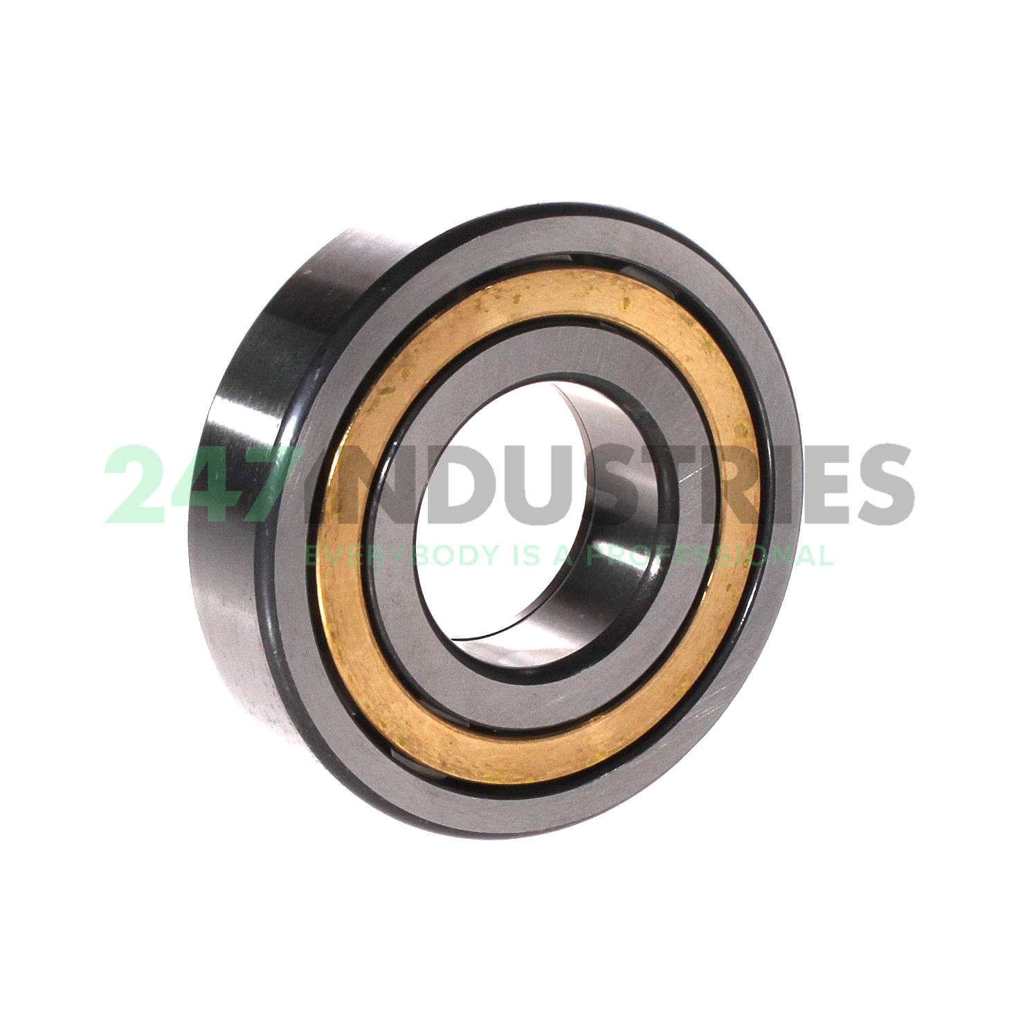 NUP308-E-XL-M1-C3 FAG Image 2