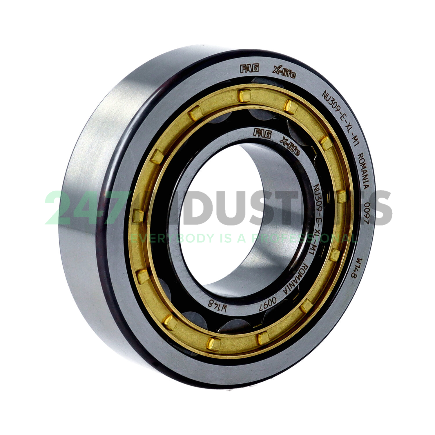 NU309-E-XL-M1 FAG