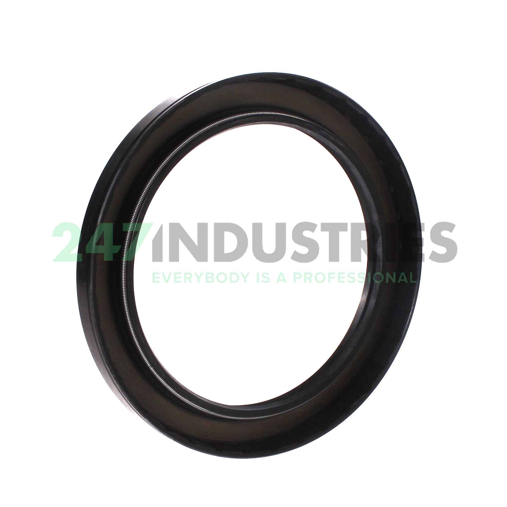 TC120X160X15 NAK Sealing Technologies Image 2