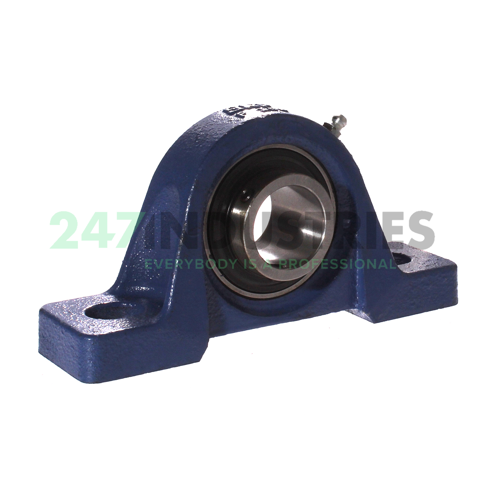 UCP206/H SKF Image 1