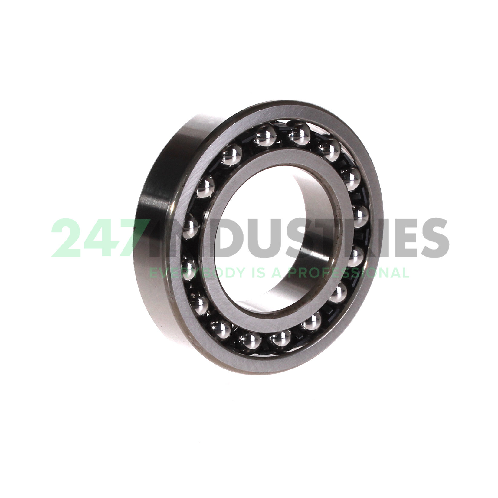 1209S NTN Image 2
