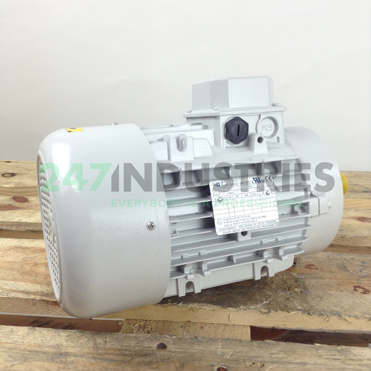 TN100A/4-B14 MT Motori Elettrici Image 4