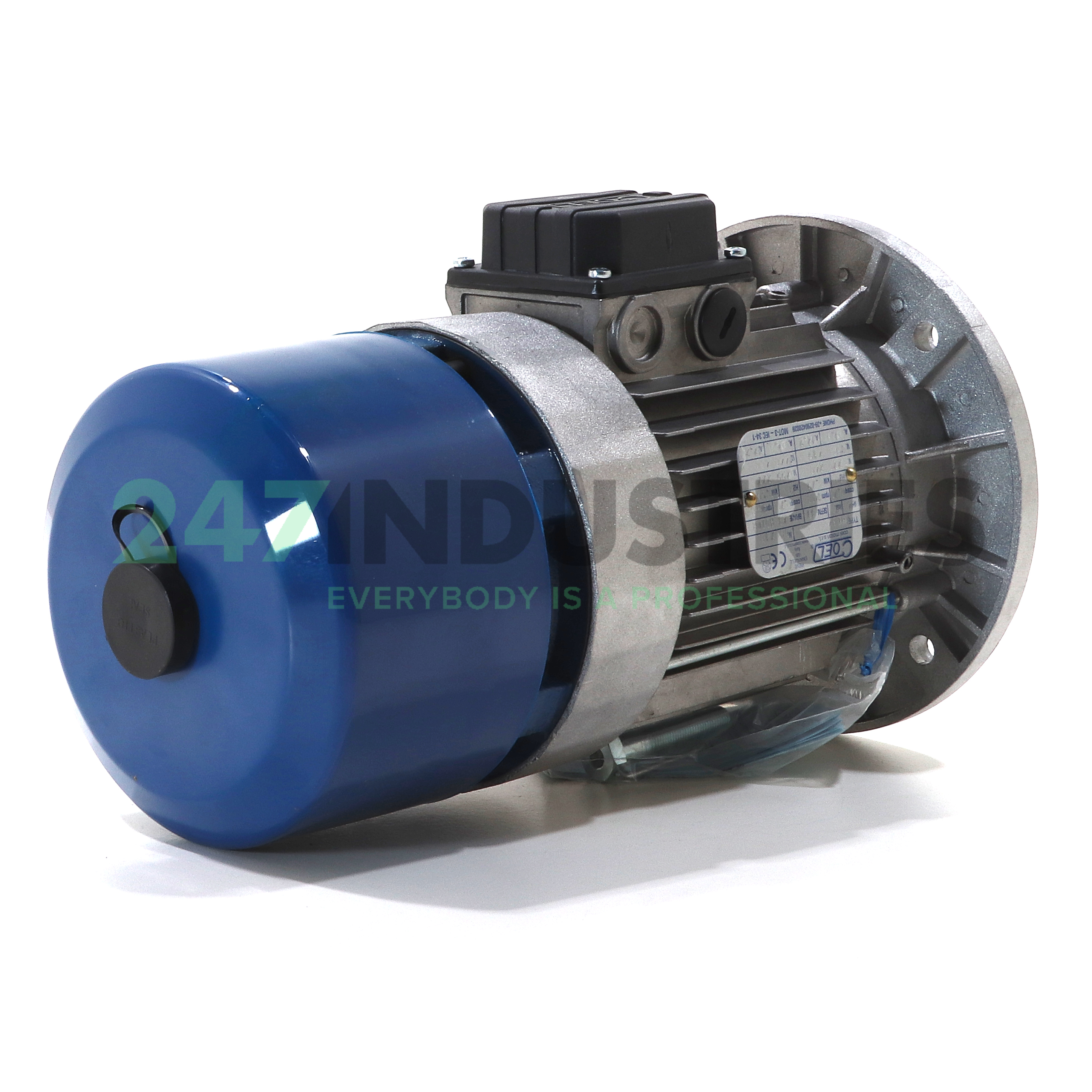 F80B4-B5 COEL Motori Image 4