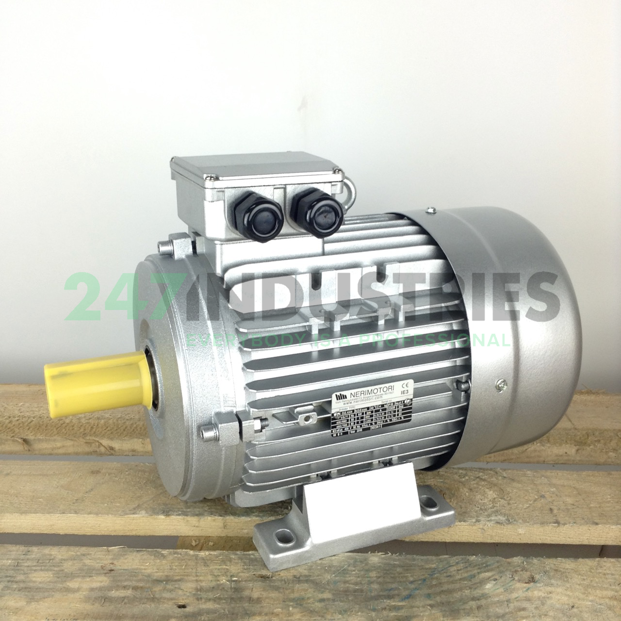 MR13A3019-132S-6-B3 Neri Motori