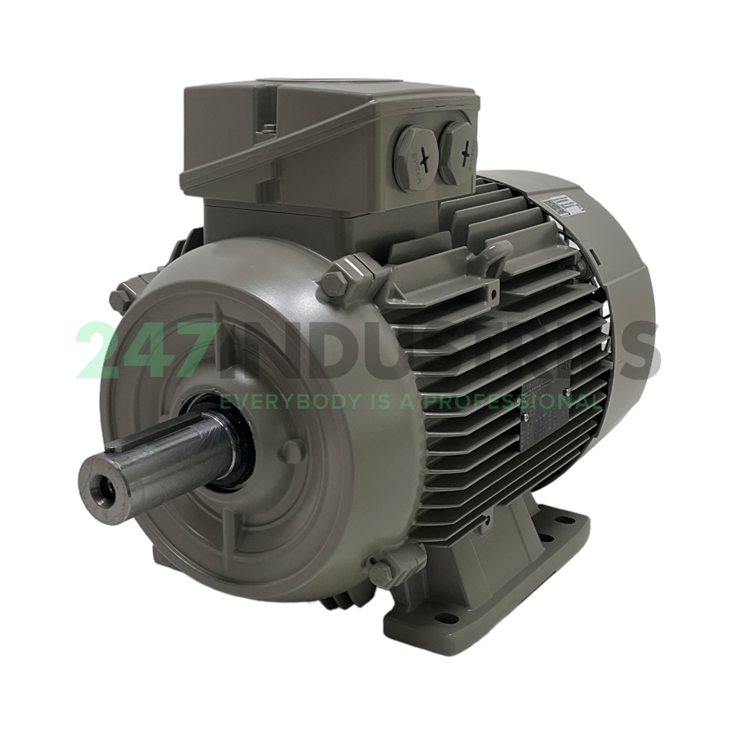 1LE1004-1CA13-4AA4 Siemens