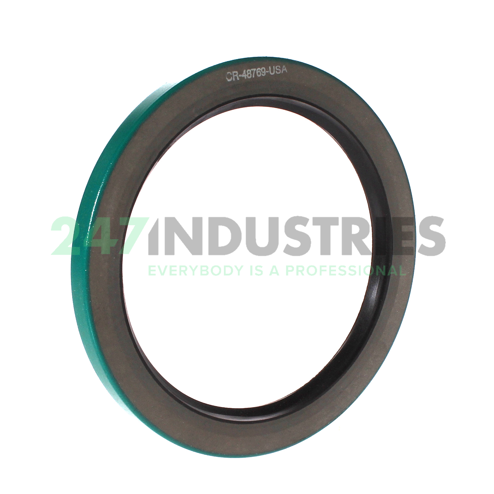 48769 Chicago Rawhide Ltd