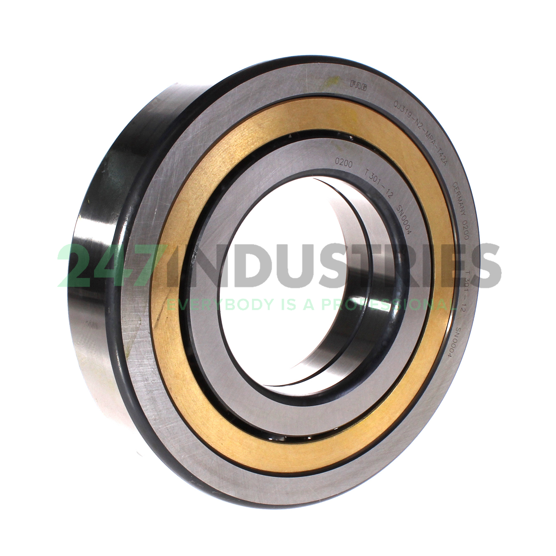 QJ319-N2-MPA-T42A FAG