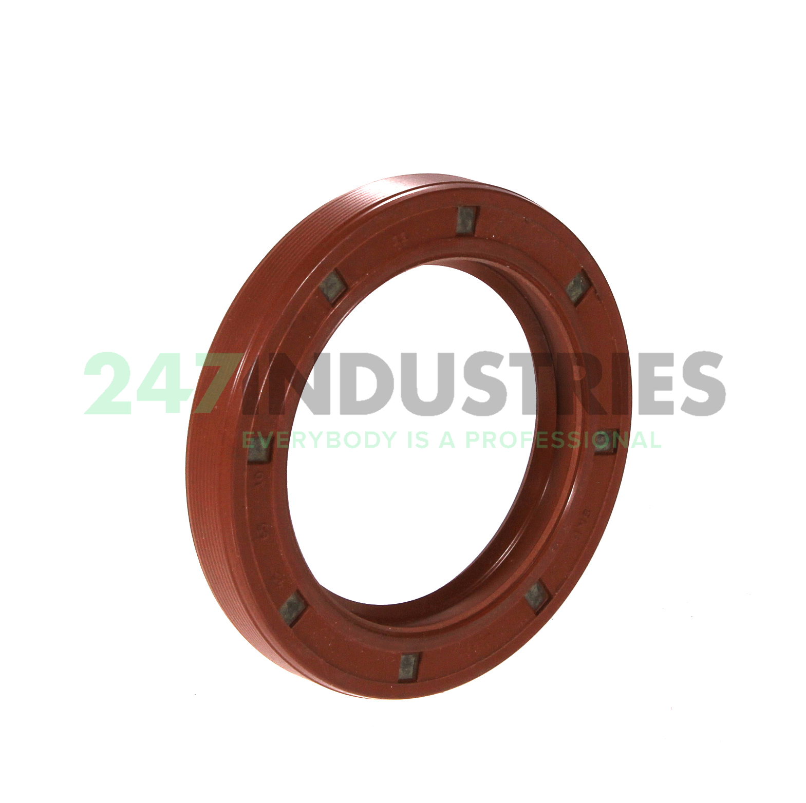 45X65X10HMS5V SKF Image 1