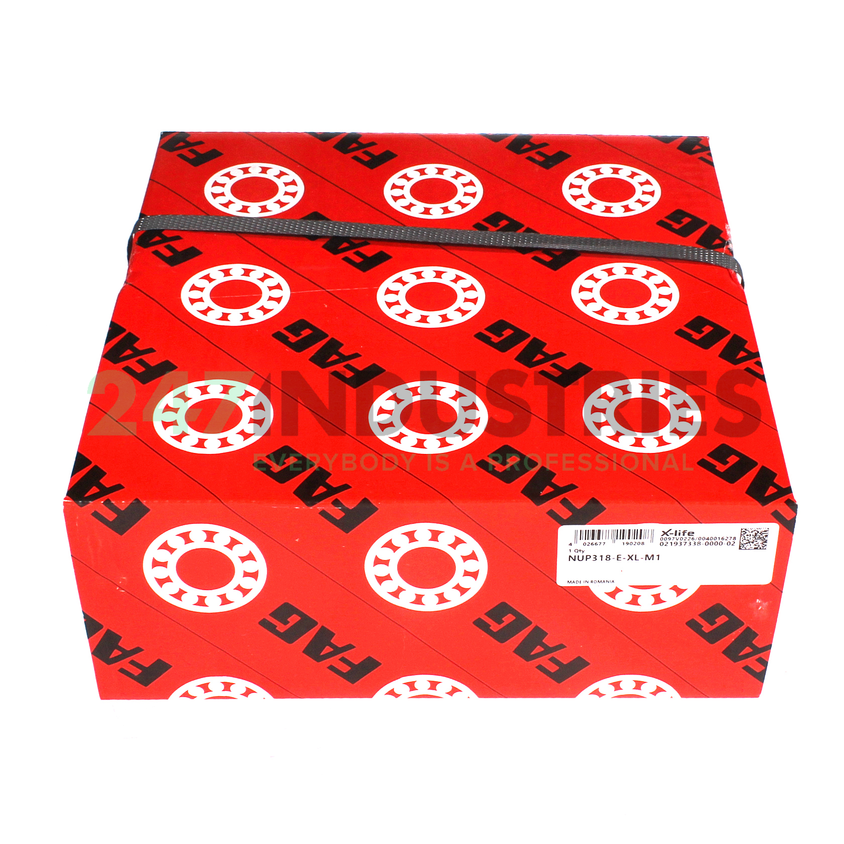 NUP318-E-XL-M1 FAG Image 4