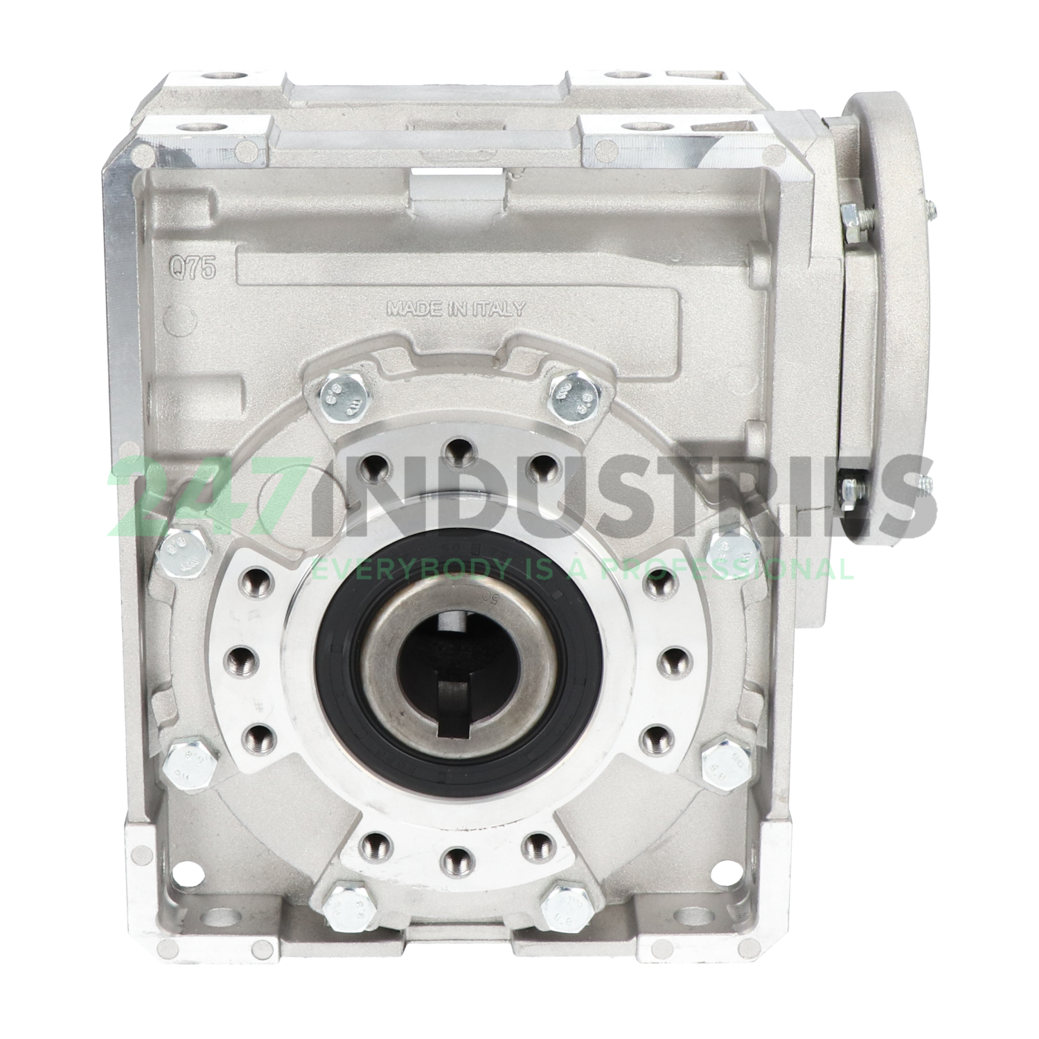 SWG75-80B14-50-30 Felstrom Image 4