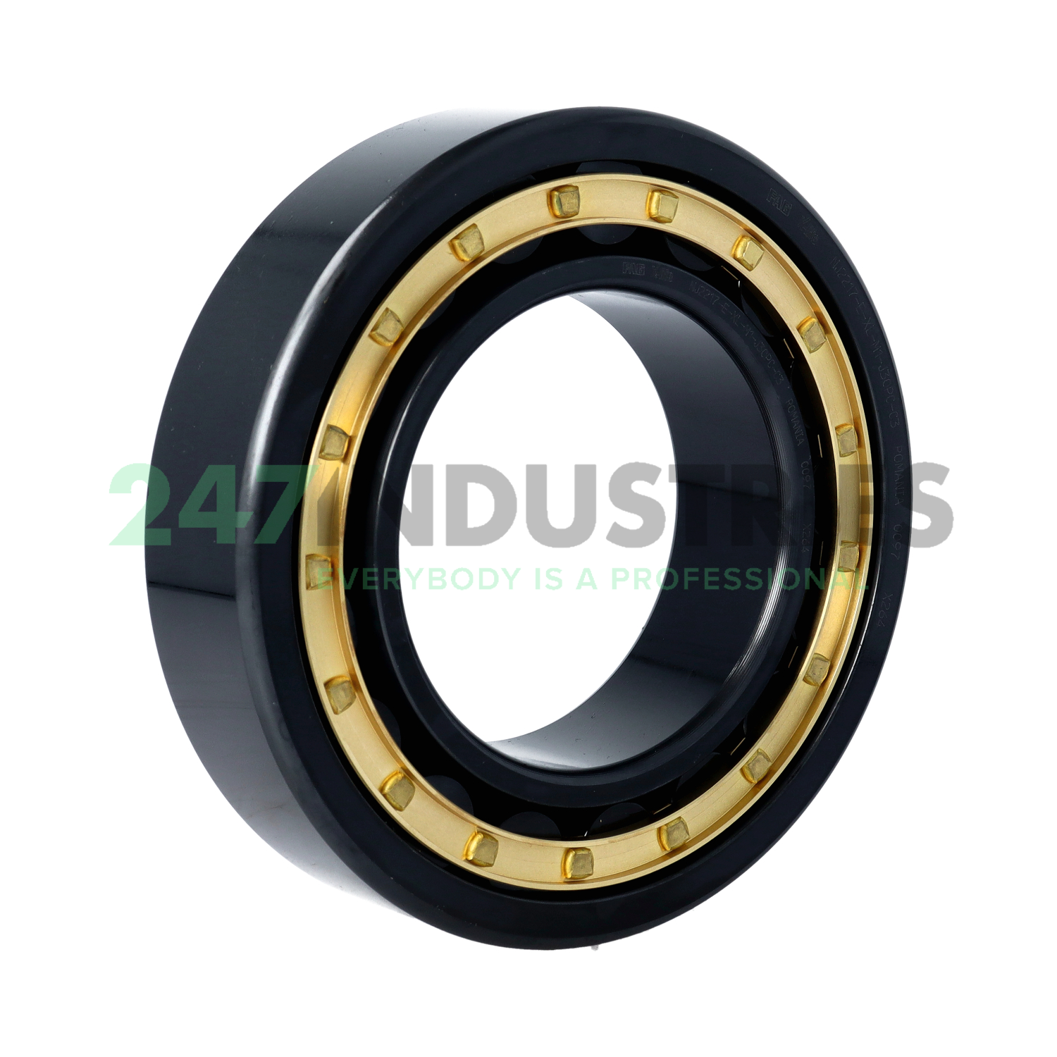 NJ2217-E-XL-M1-J30PC-C3 FAG