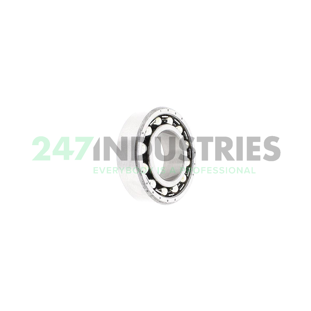 1205K SKF