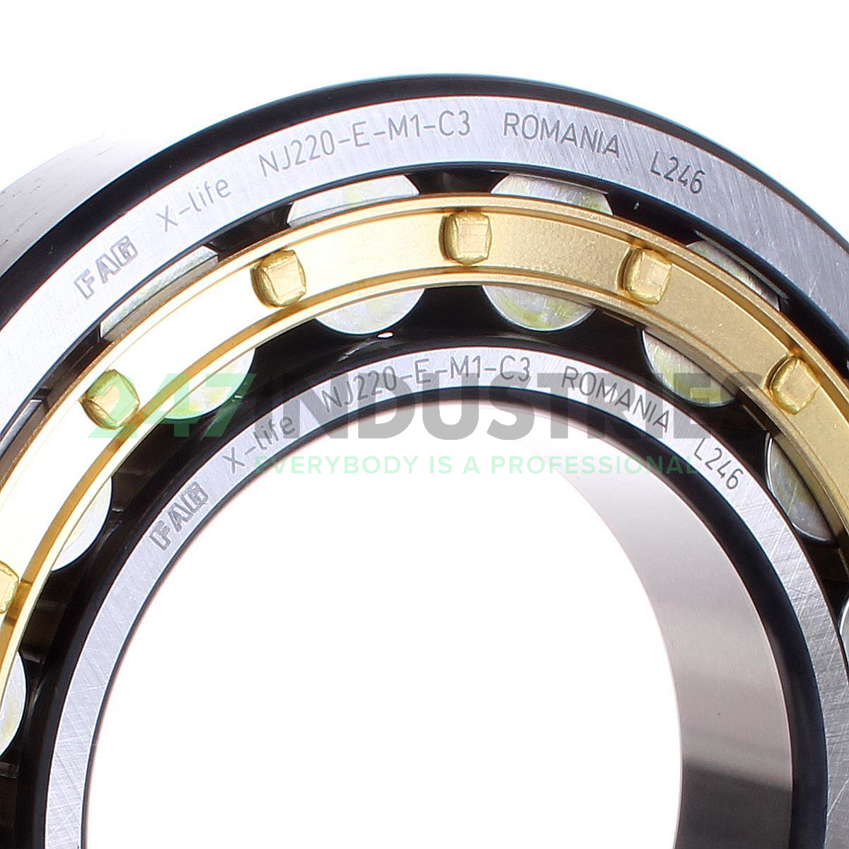 NJ220-E-M1-C3 FAG Image 2