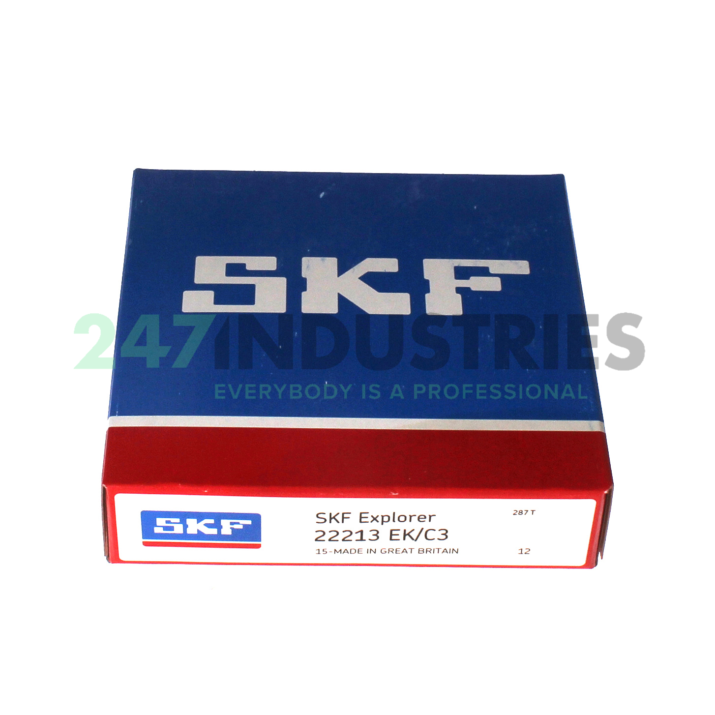 22213EK/C3 SKF Image 4