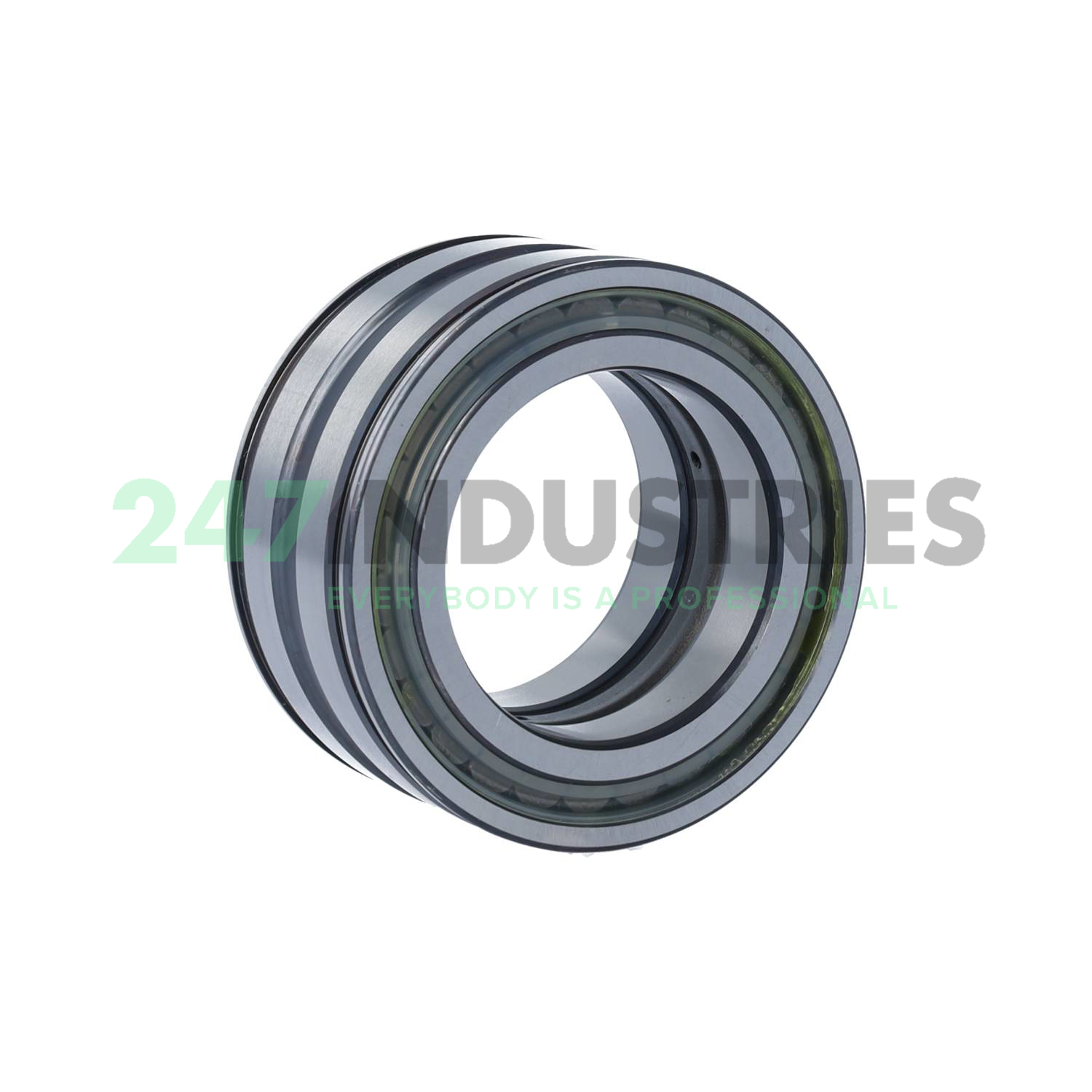 SL045010-PP-2NR-C3-L091 INA Image 2