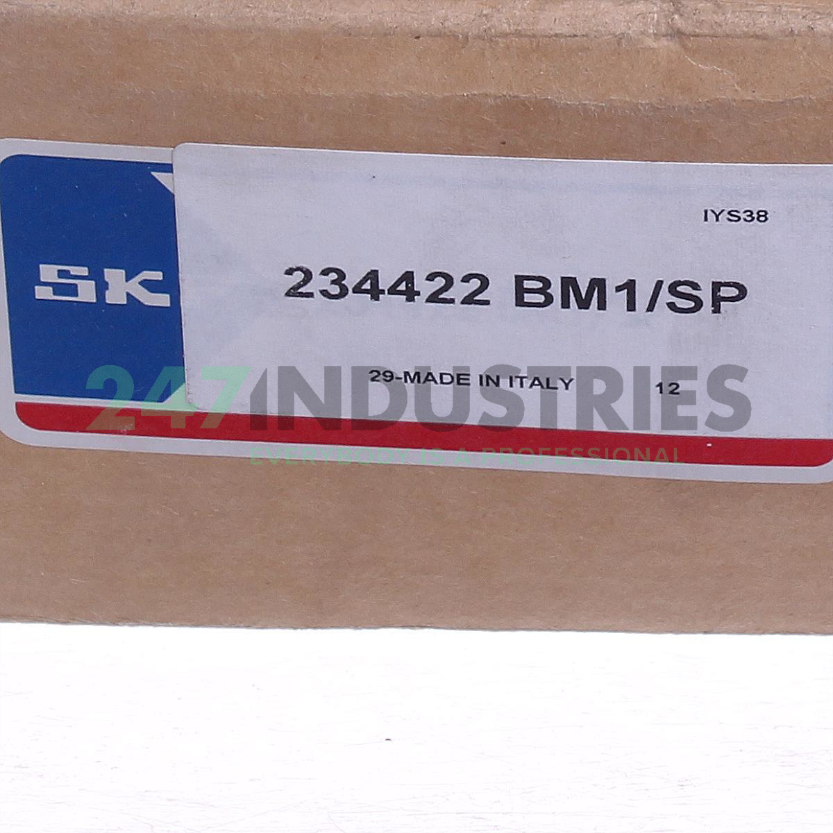 234422BM1/SP SKF Image 2