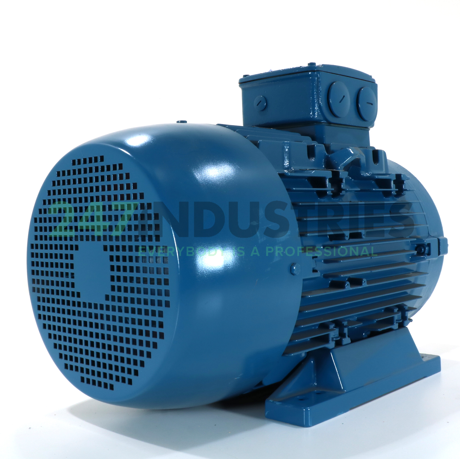 15K32AL3160M/L2B3 WEG Image 3