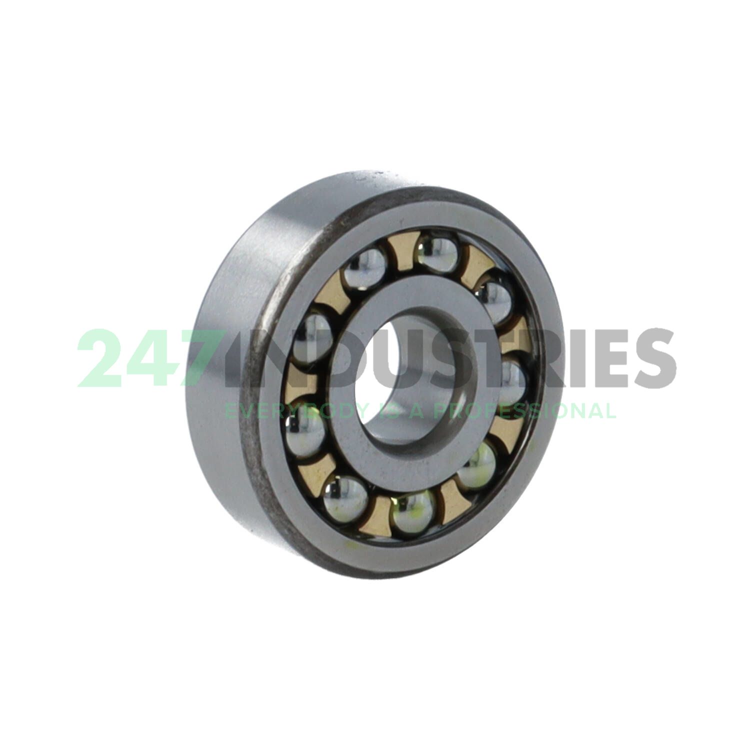 1301EM/P62 SKF Image 2