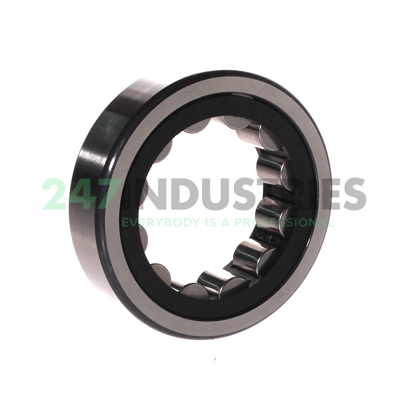 RNU307-E-XL-TVP2 FAG Image 2