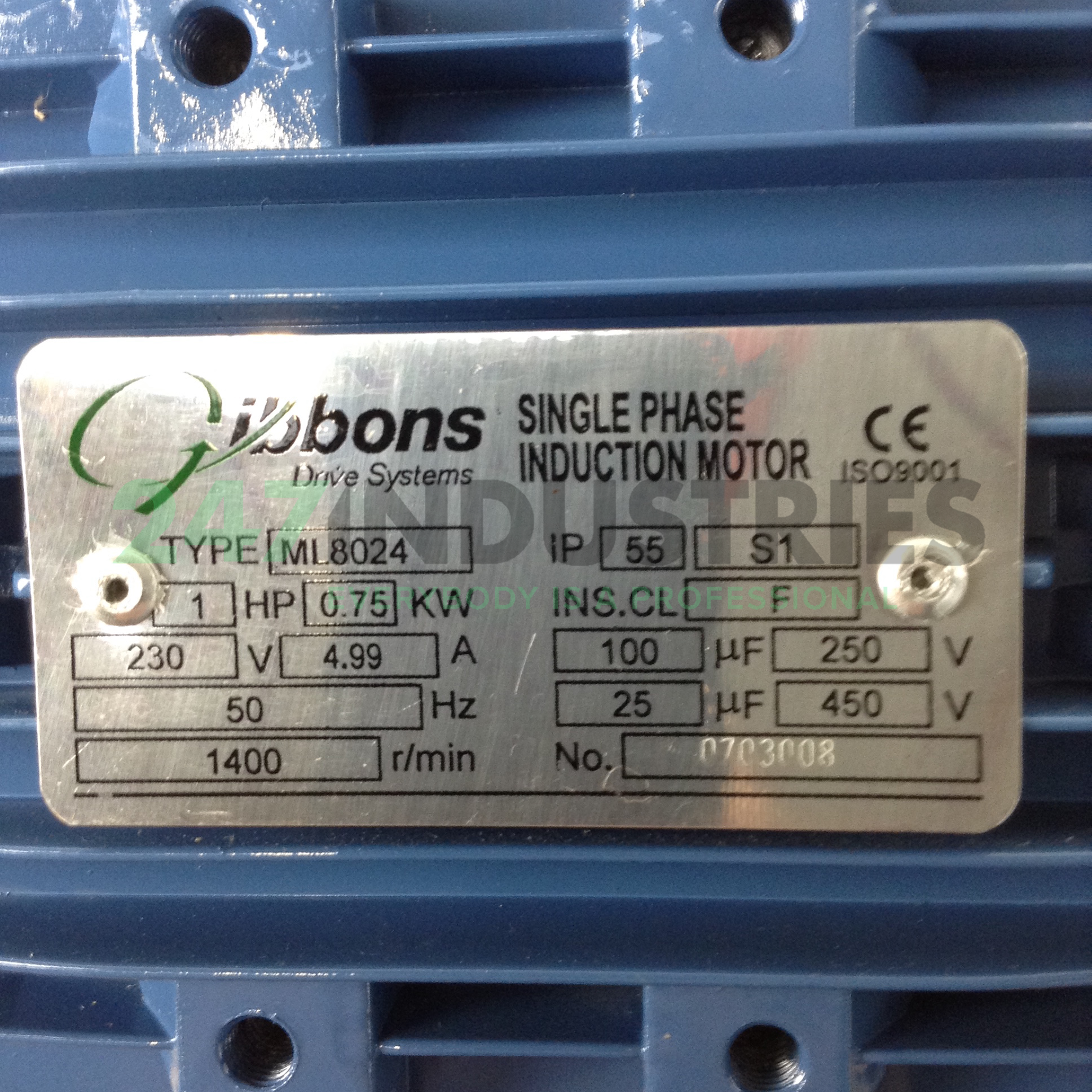 ML8024B14 Gibbons Image 2