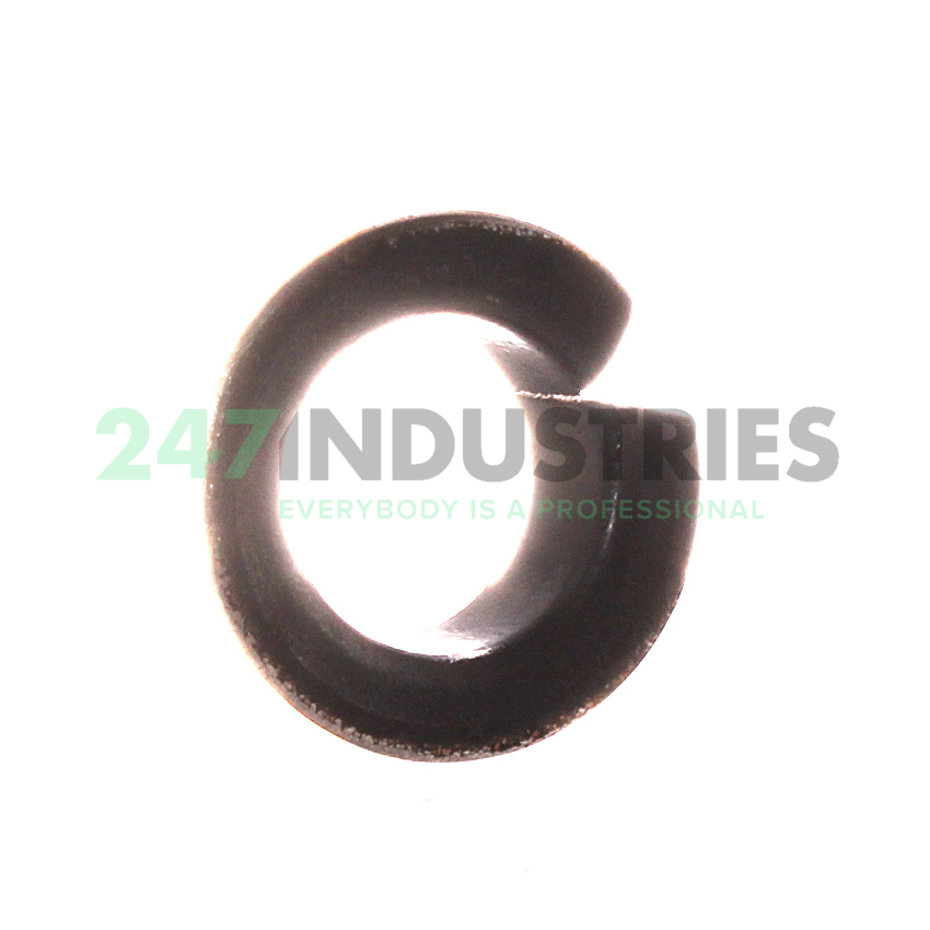 SF11-F12090 Neutral Image 2