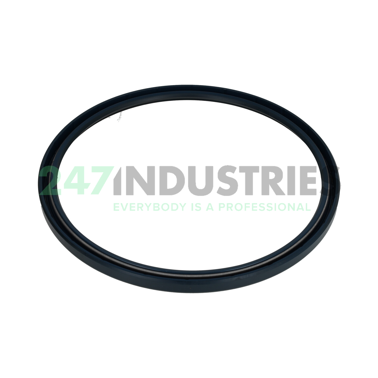 CR215X240X12HMS47R SKF Image 2