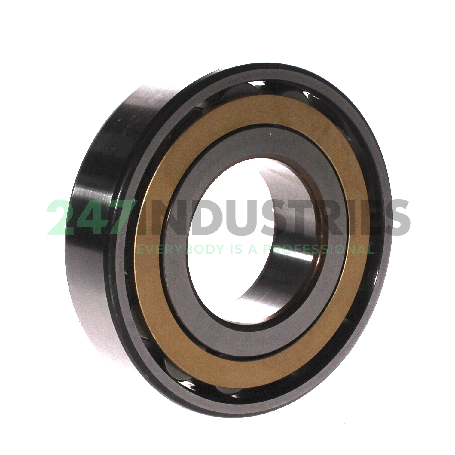 N311ECM SKF Image 2