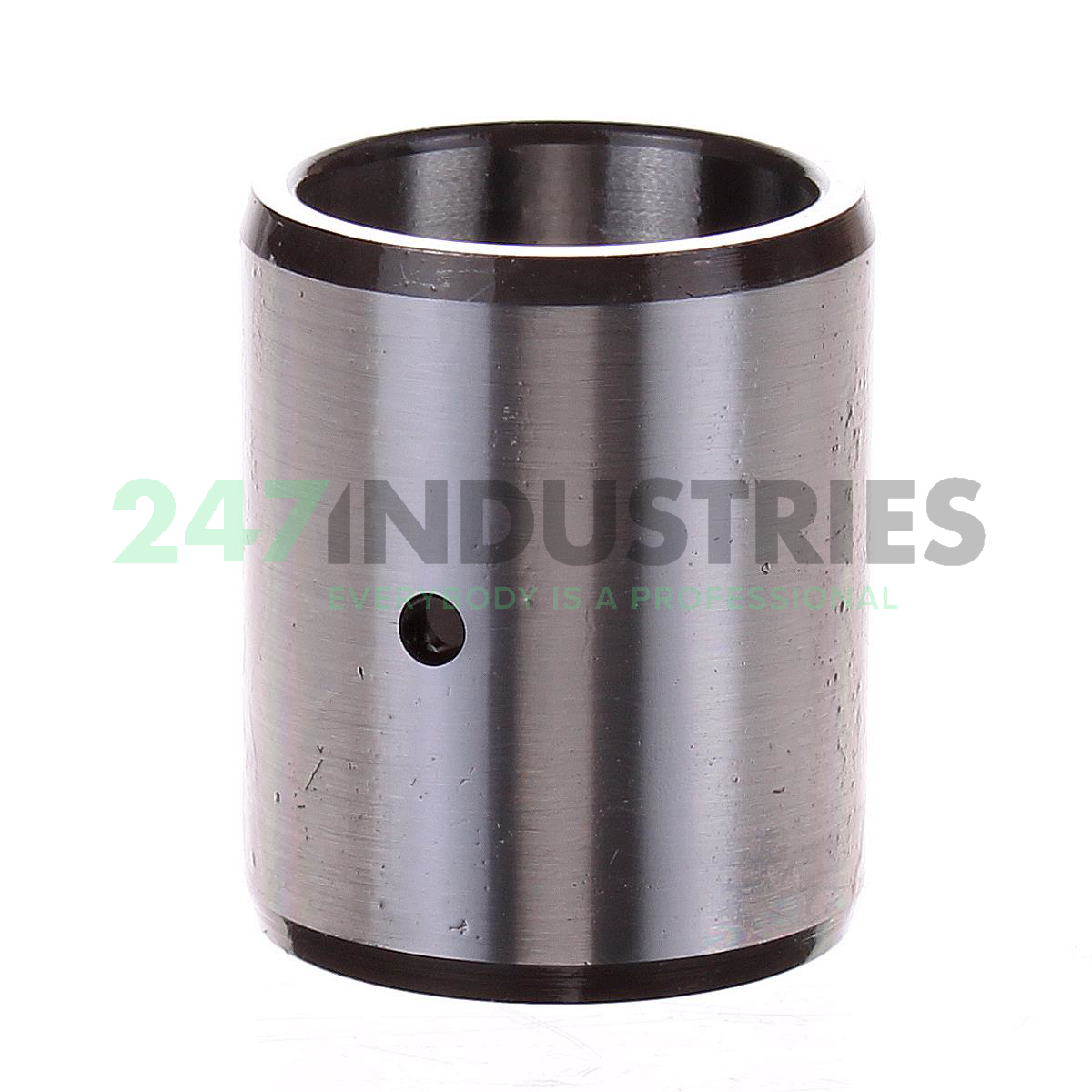 IR20X25X30-IS1-XL INA