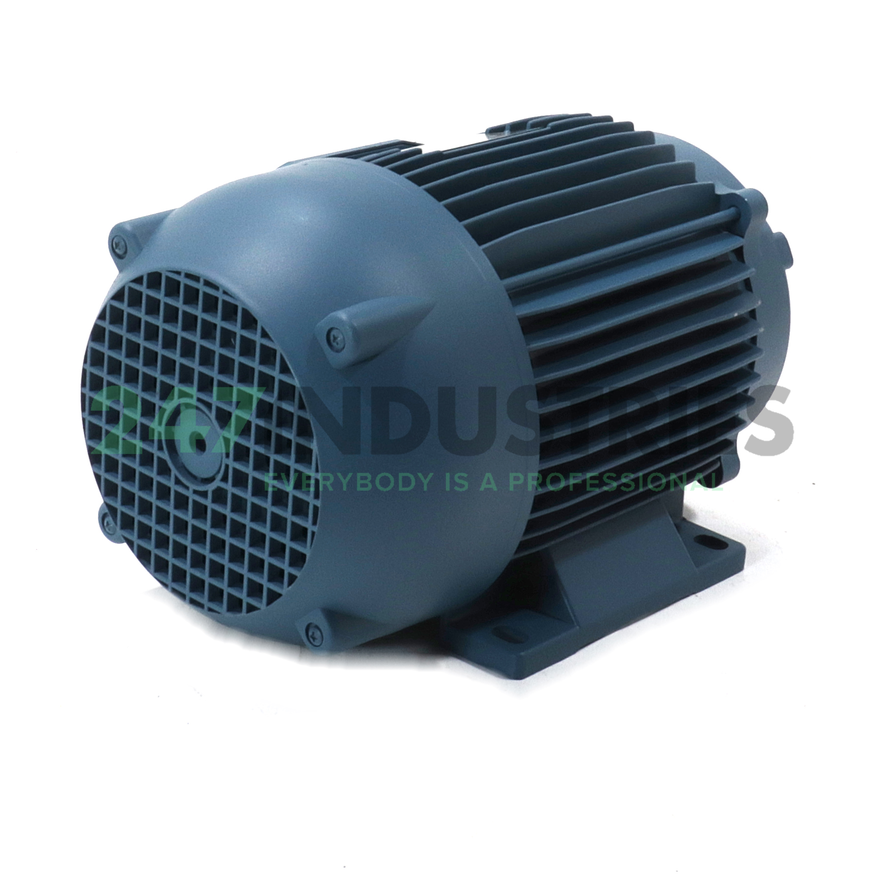 FB100LC2/4B3 Lafert Image 3