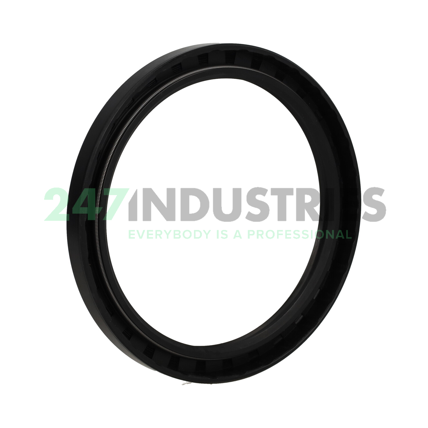 TC105X130X12 CHO Champ Oil Seals Image 2