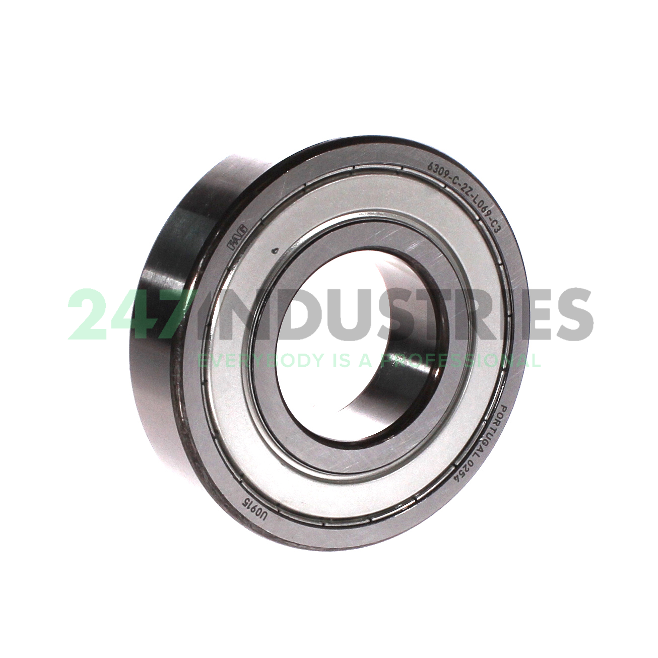 6309-C-2Z-L069-C3 FAG