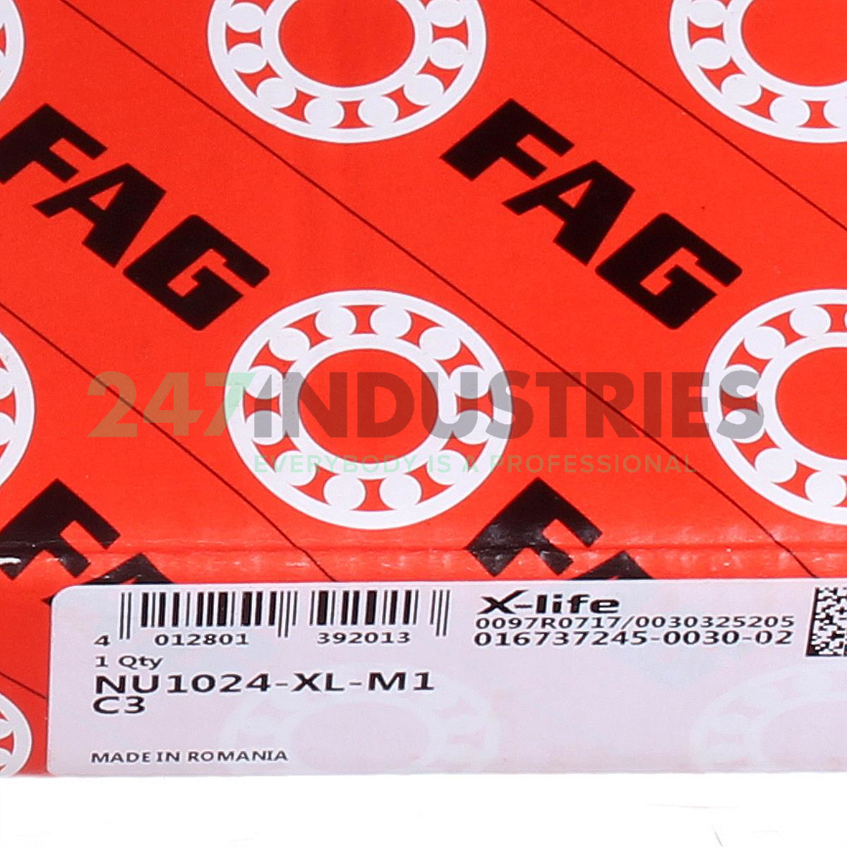 NU1024-XL-M1 FAG Image 6
