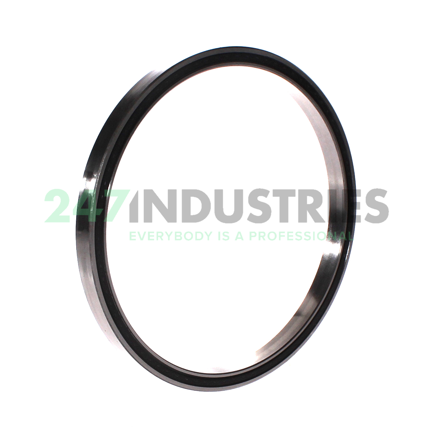 CSCU060-2RS-HLE INA Image 2