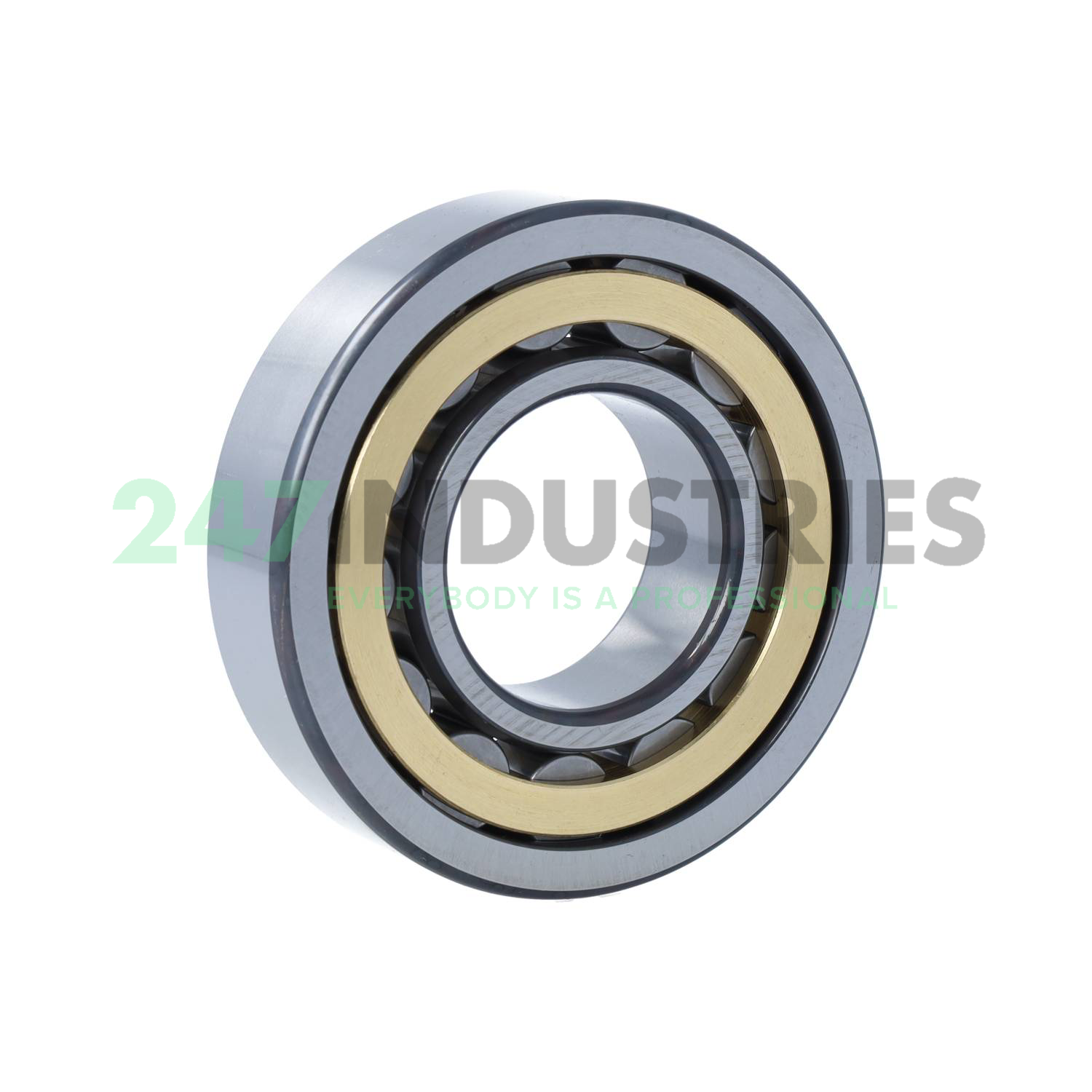 NU309-E-XL-M1-C4 FAG Image 2