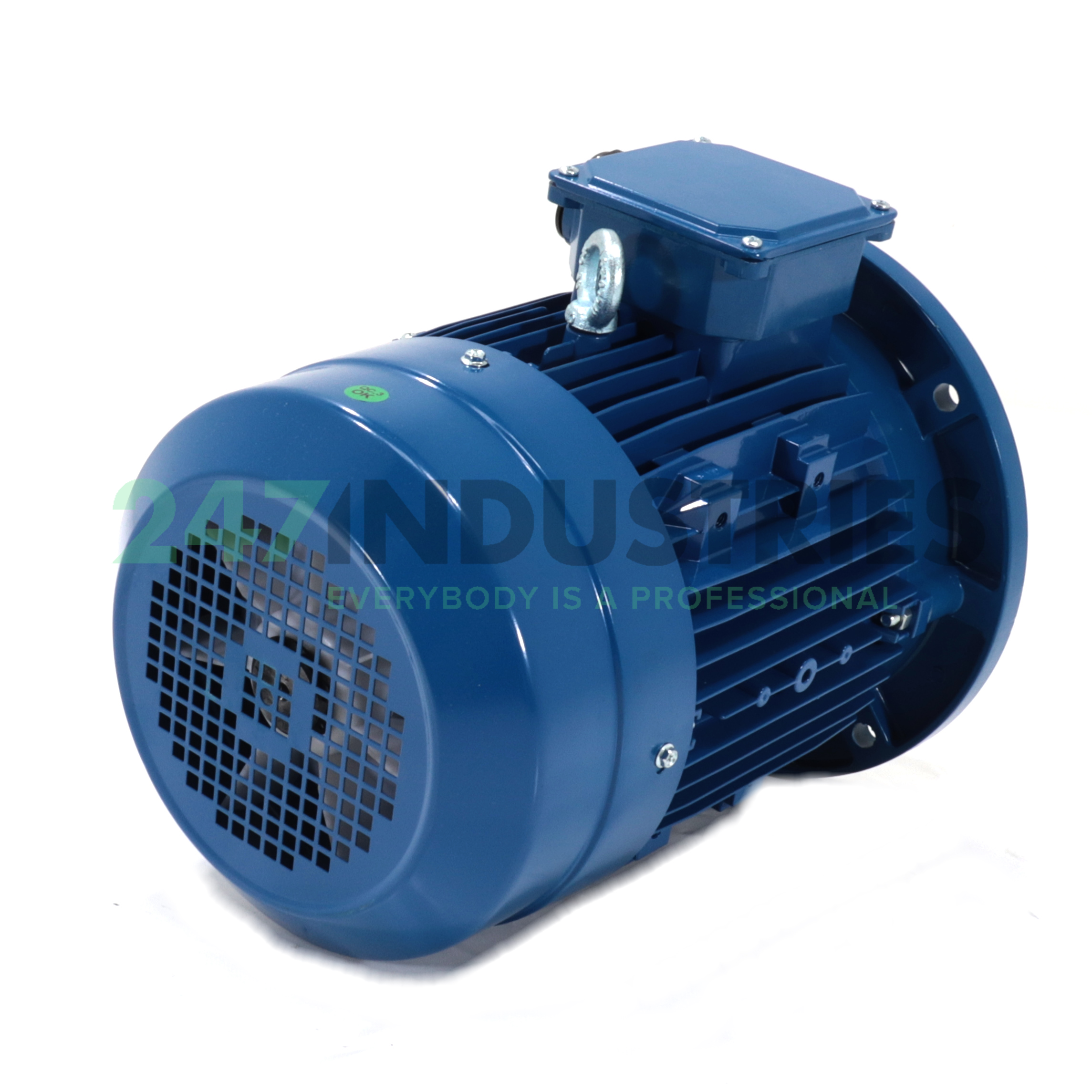 MS132S-4-B5 BGR Image 3