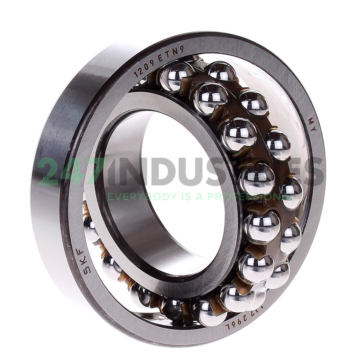 1209ETN9 SKF Image 2