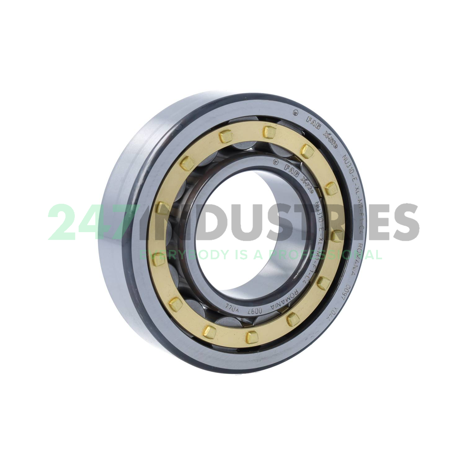 NU310-E-XL-M1-F1-C4 FAG