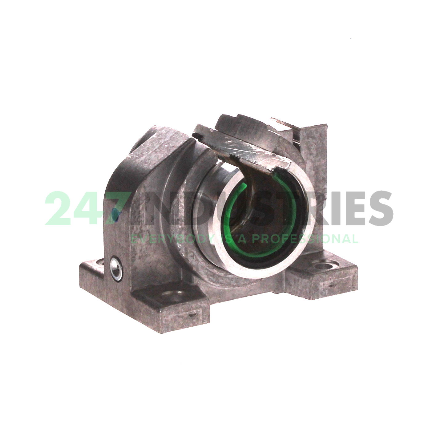 PAGBAO20-PP-AS INA Image 2