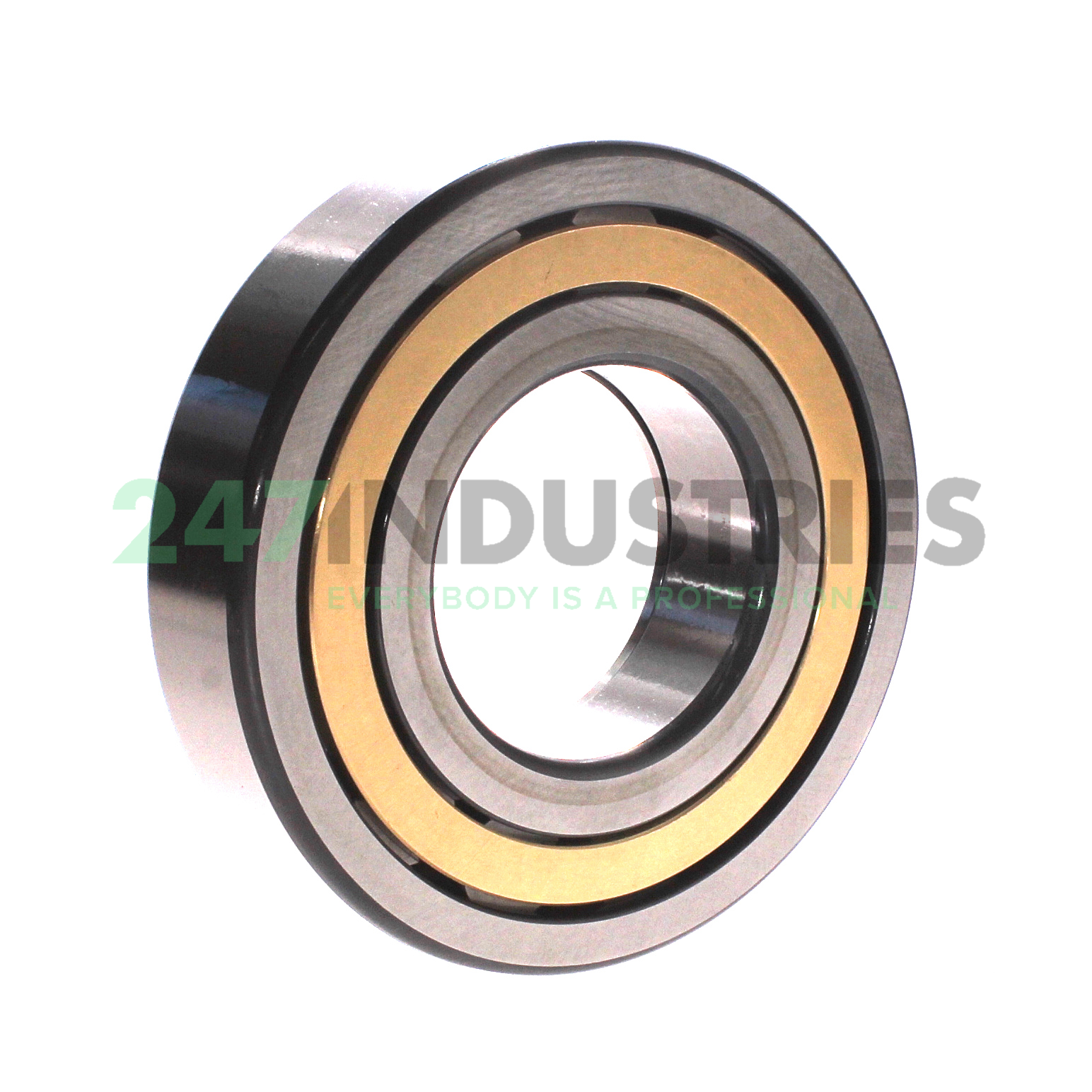 NUP314-E-XL-M1-F1-C4 FAG