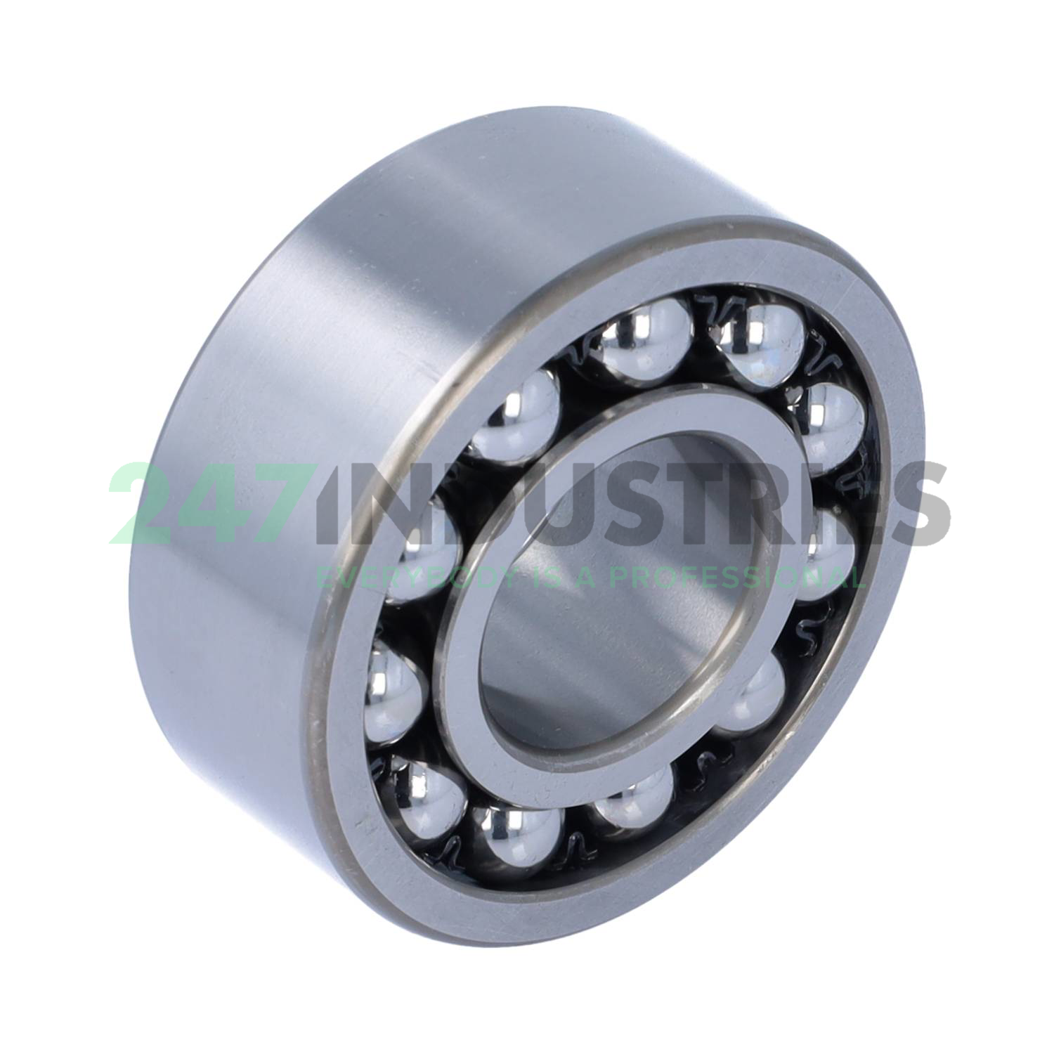 2307 NSK Image 2
