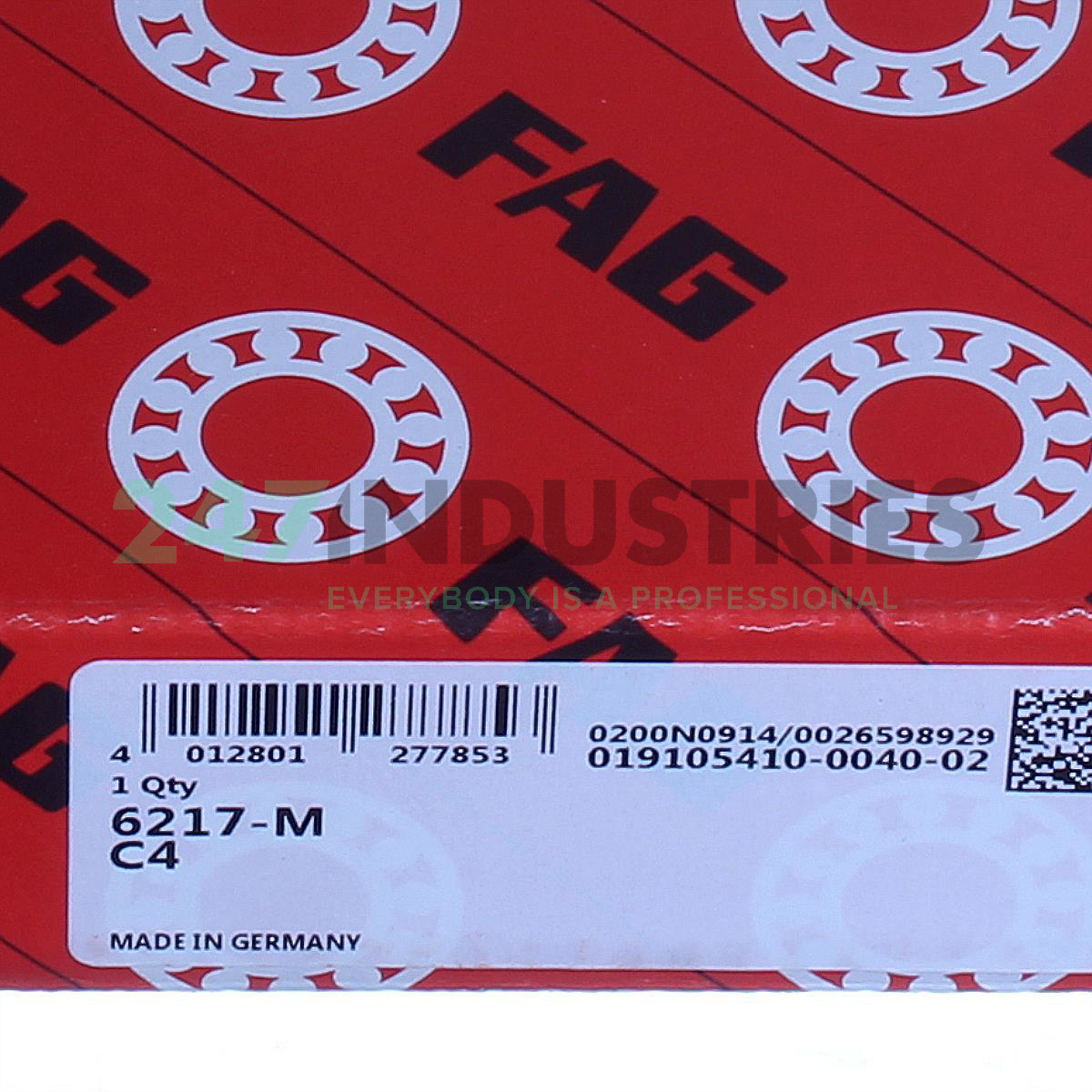 6217-M-C4 FAG Image 5